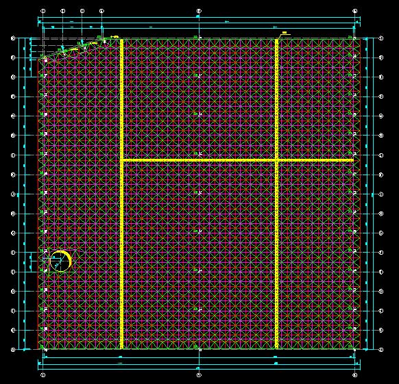 郴州东营金岭化工大王煤棚网架
